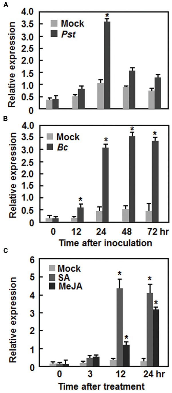 FIGURE 1