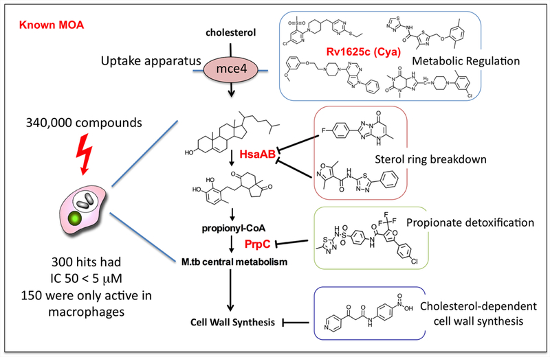 Figure 5.