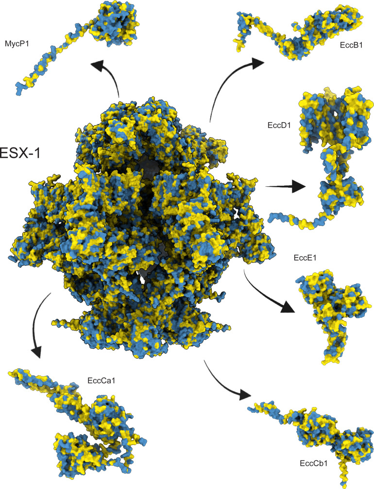 Fig 4