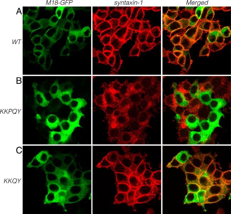 FIGURE 3.