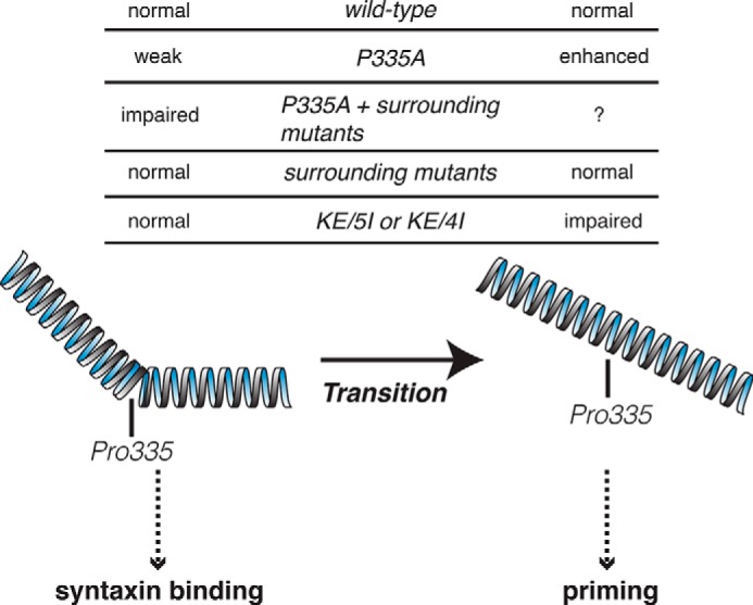 FIGURE 9.