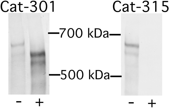 Fig. 10.