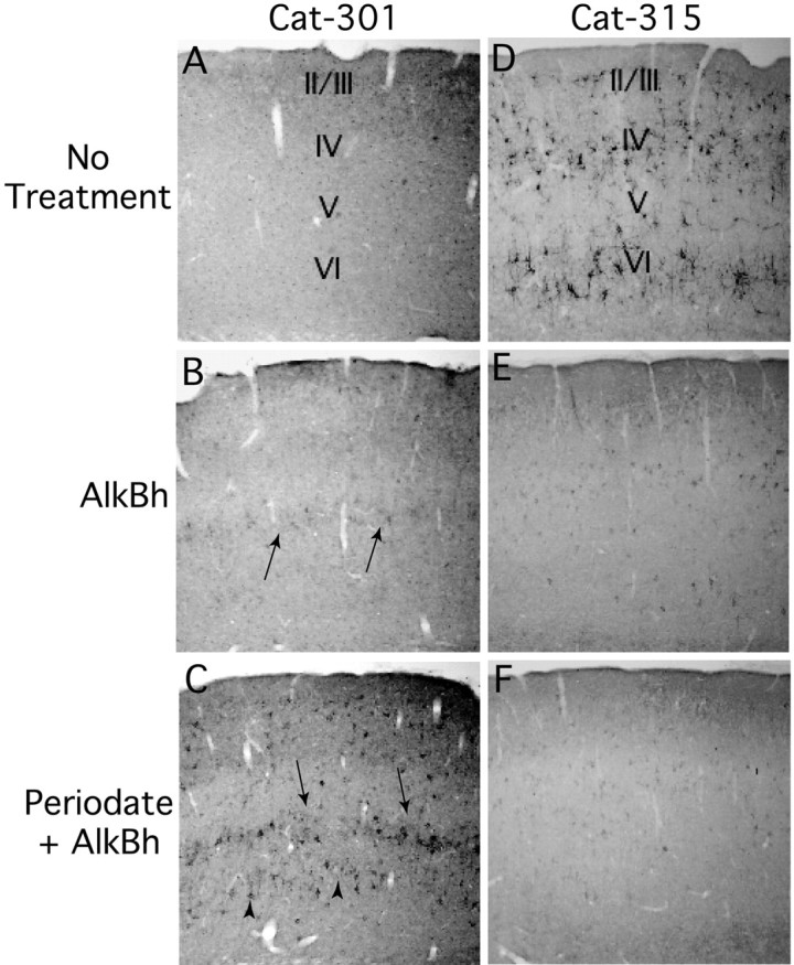 Fig. 11.