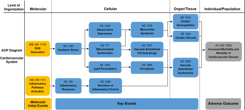 Fig. 2