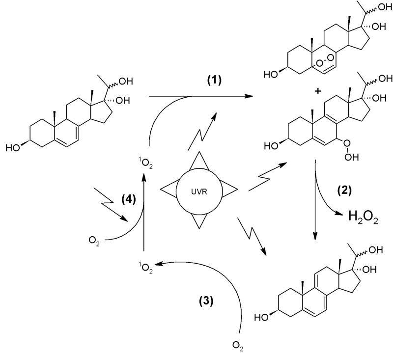 Scheme 4