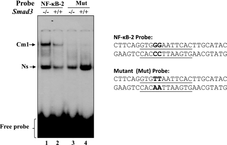 FIGURE 10.