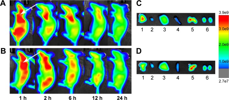 Figure 11