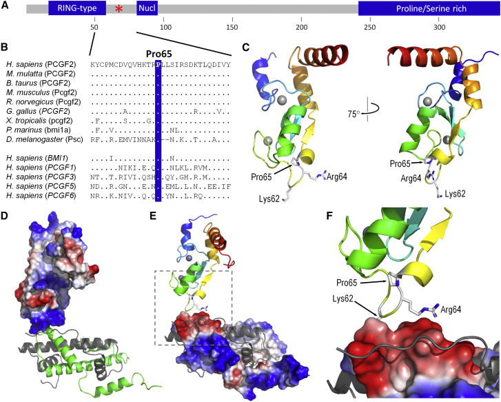 Figure 3