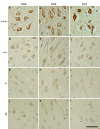 Fig. 4