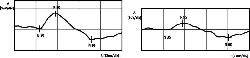 Fig. 5