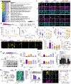 Extended Data Figure 6.