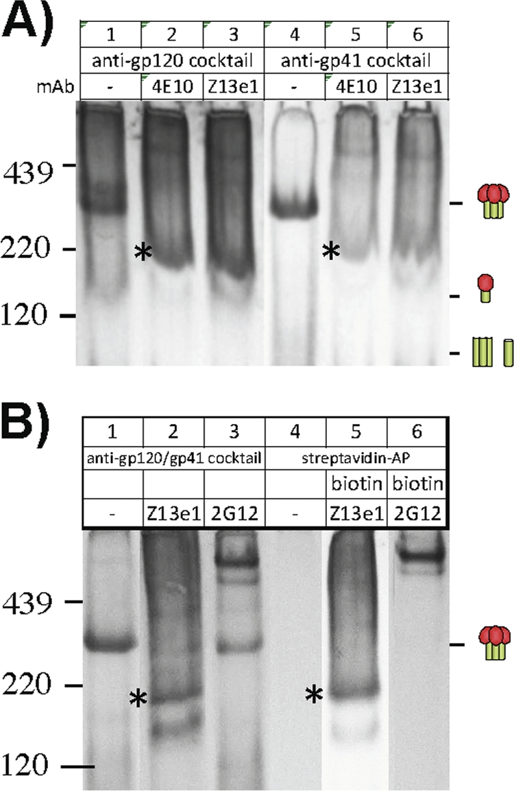 Fig 10