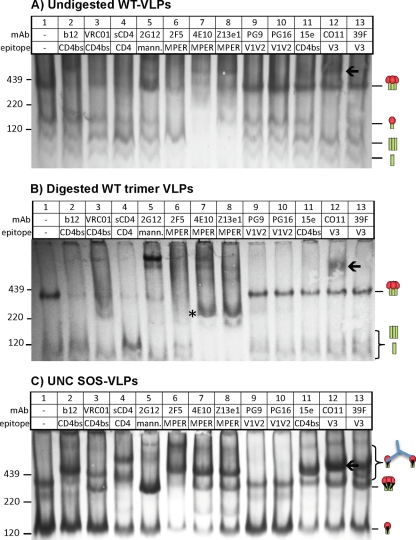 Fig 8