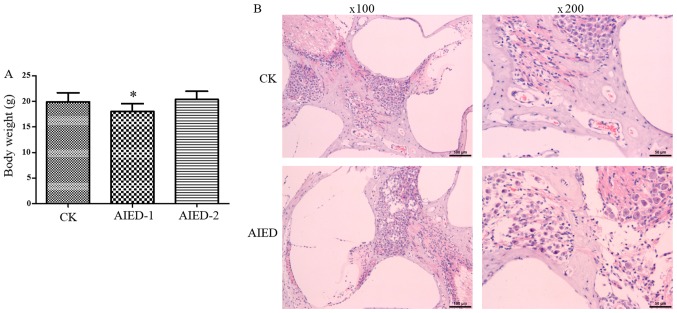 Figure 1.