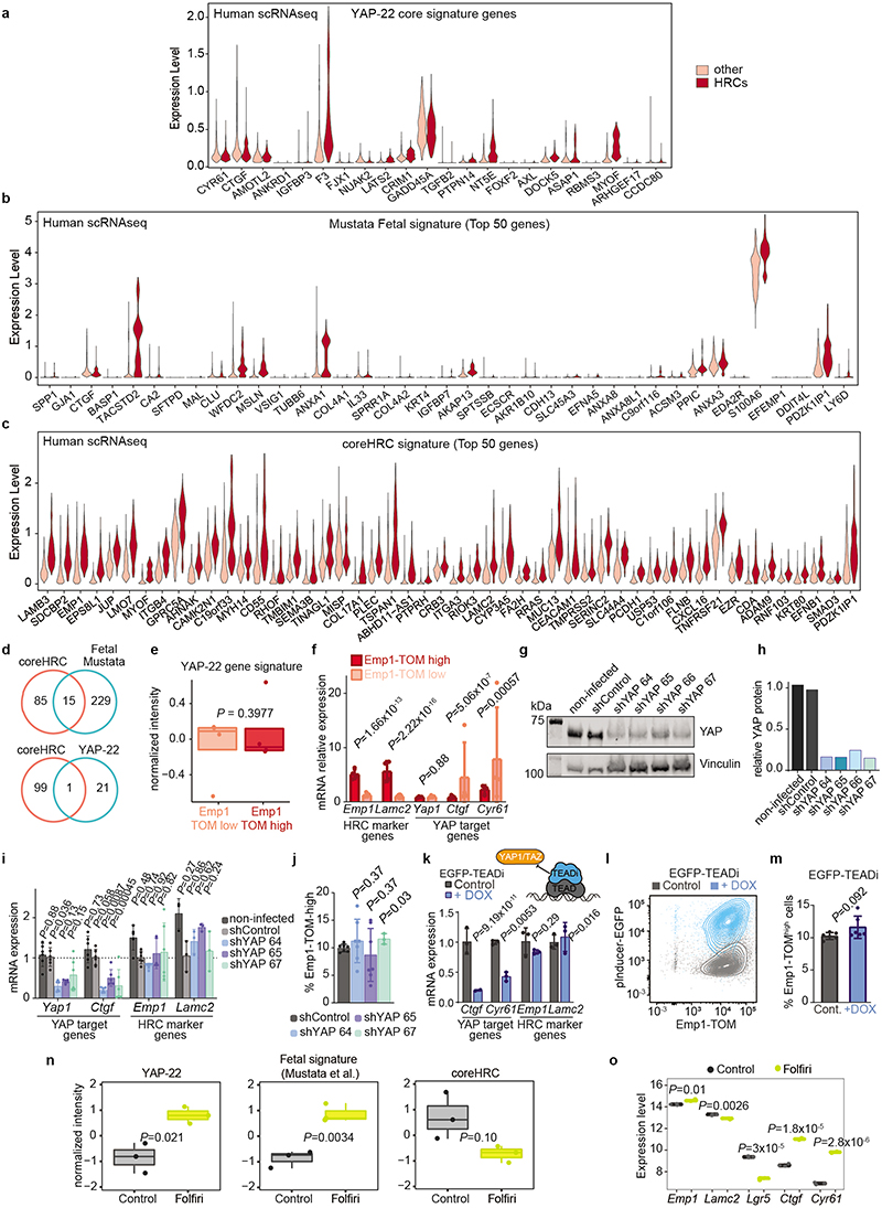 Extended Data Fig. 9 |