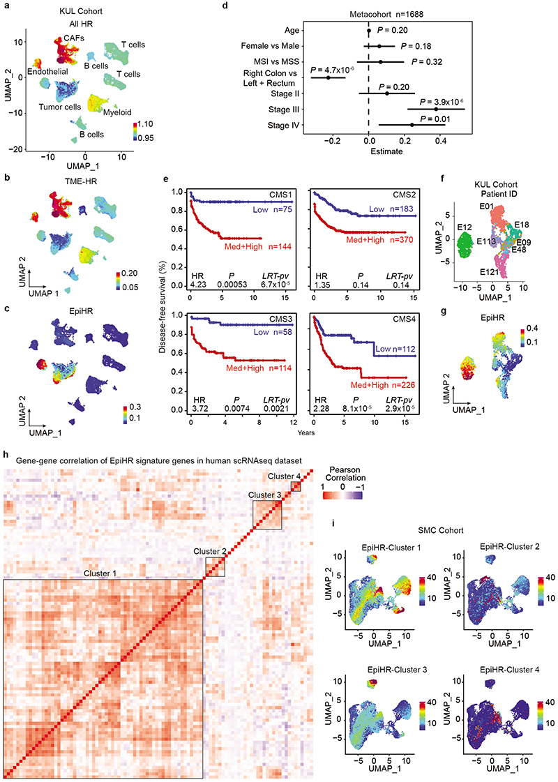 Extended Data Fig. 1 |