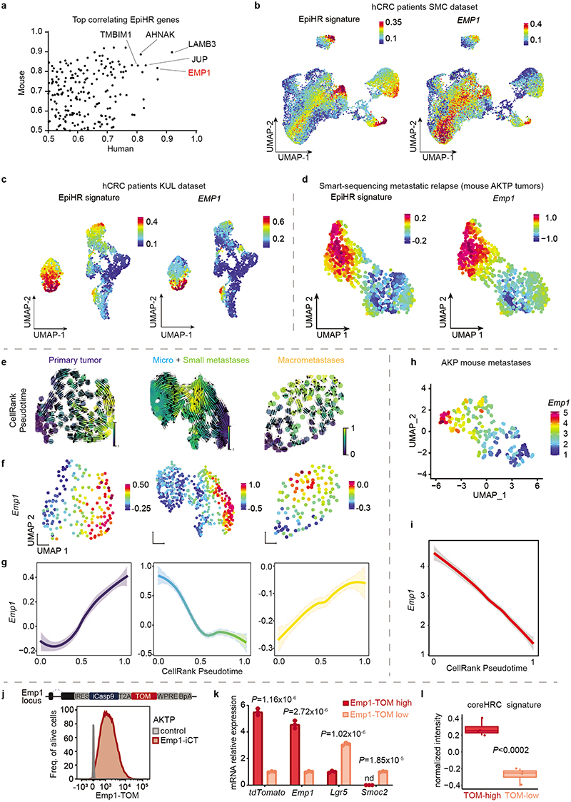 Extended Data Fig. 5 |