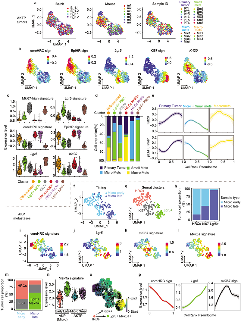 Extended Data Fig. 4 |