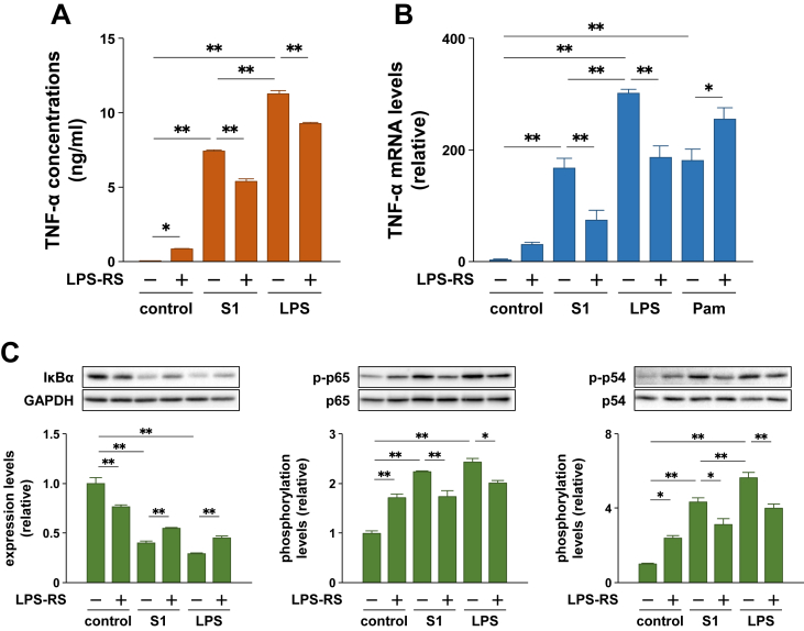 Figure 4