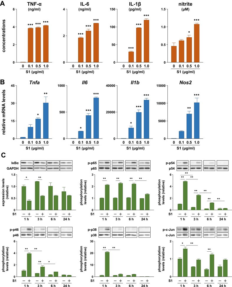 Figure 1