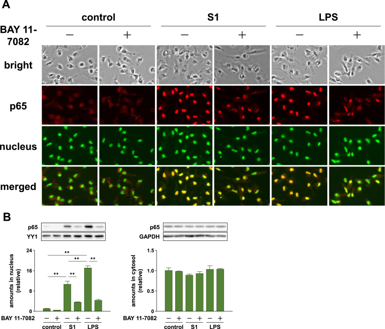 Figure 2