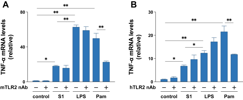 Figure 7