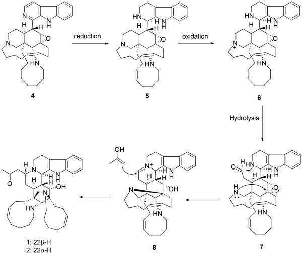 Scheme 1