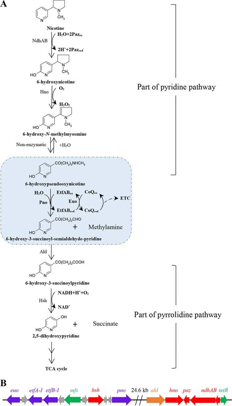 FIG 1