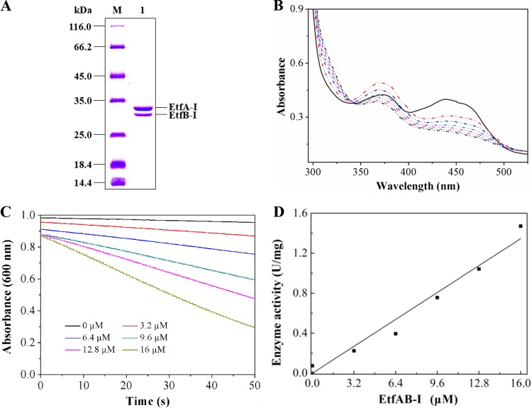 FIG 2