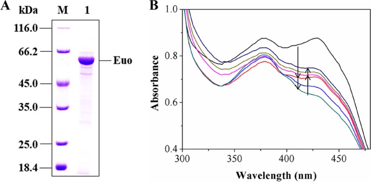 FIG 4