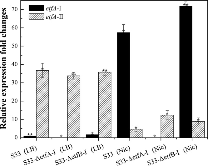 FIG 6