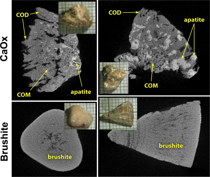 Figure 1