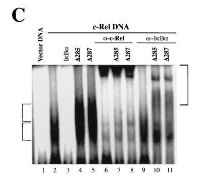 FIG. 5