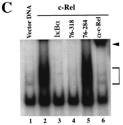 FIG. 7