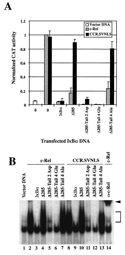 FIG. 6