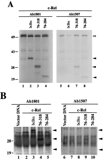 FIG. 8