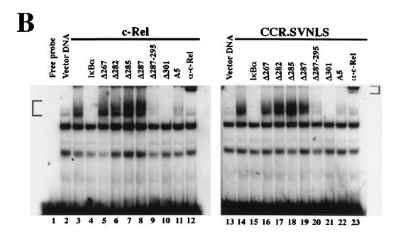 FIG. 5