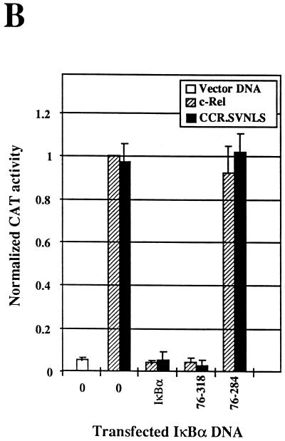 FIG. 7