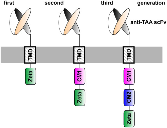 Fig. 2