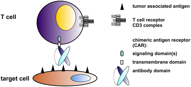 Fig. 1