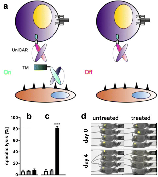 Fig. 3