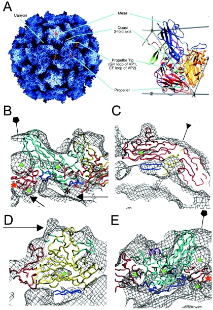 FIG. 3.