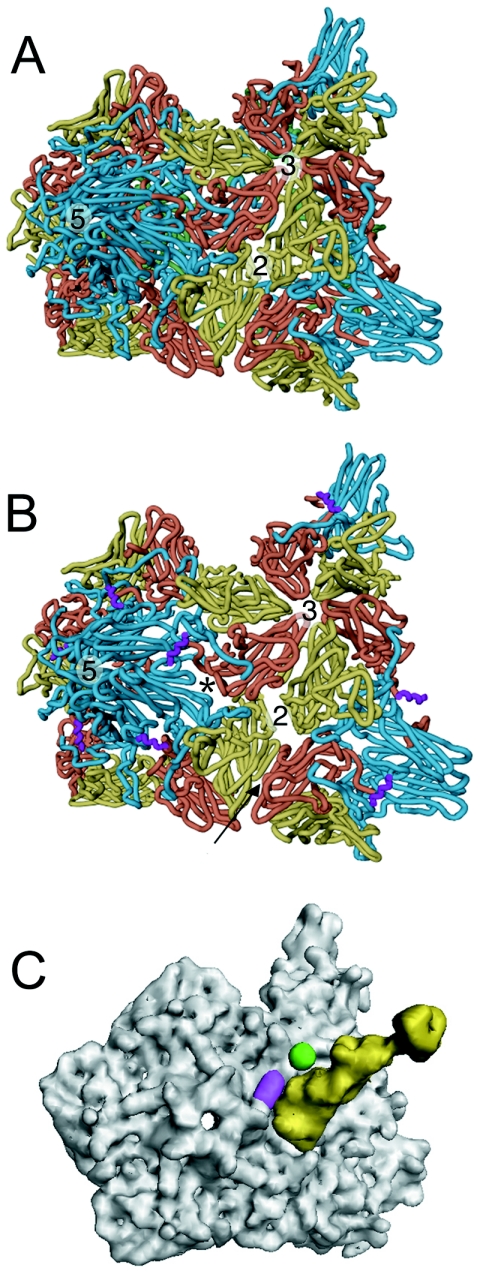 FIG. 5.