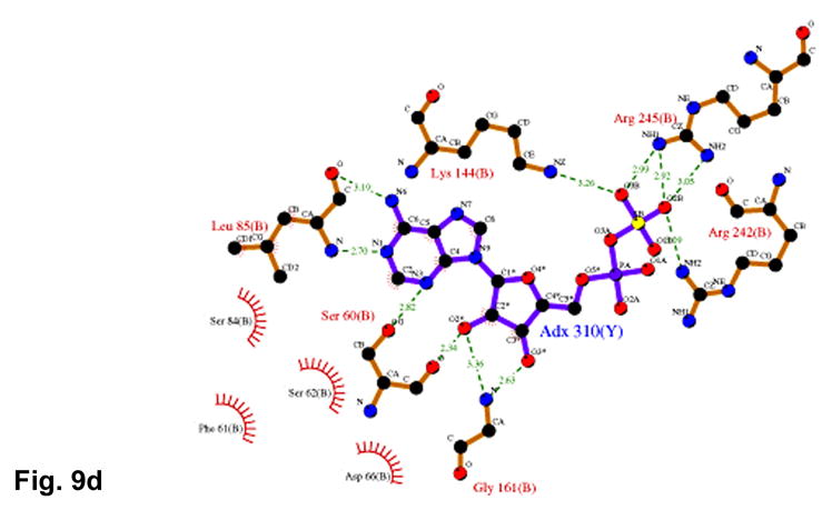 Figure 9