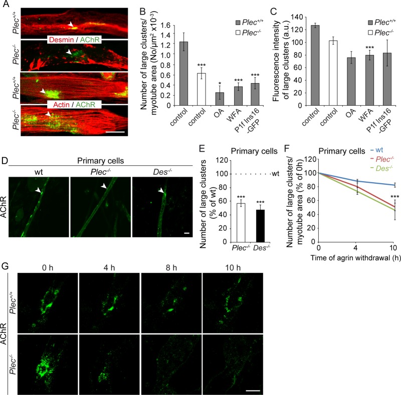 FIGURE 2: