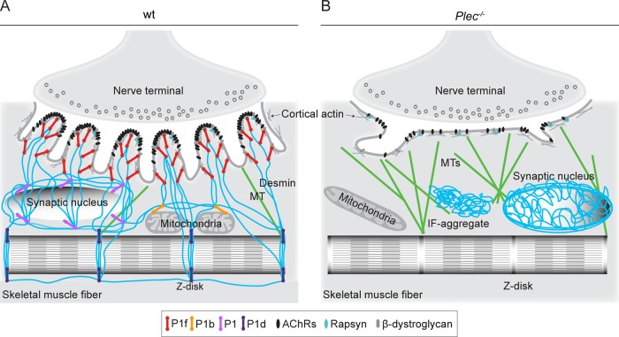 FIGURE 10: