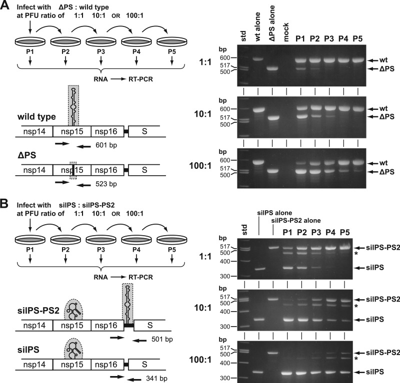 Fig 8