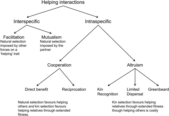 Figure 1.