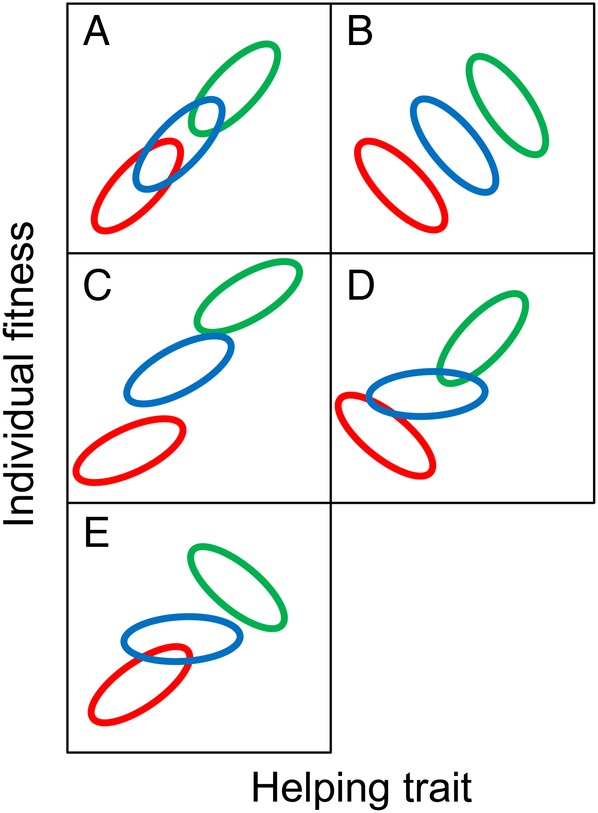 Figure 2.