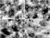 FIG. 6.